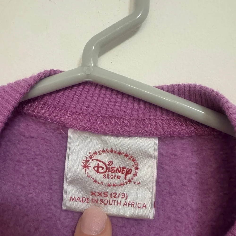 Disney cozy crewneck